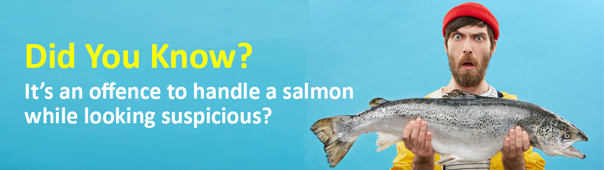It’s an offence to handle a salmon while looking suspicious!