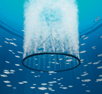 aeration system providing oxygen-rich water for an aquaculture sea pen