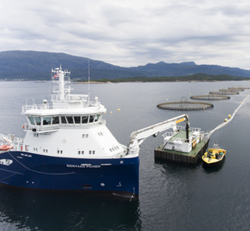 Aquaculture site vessel supplying an offshore feed barge