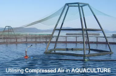 Aquaculture Net 2