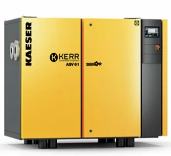 KAESER ASV 61 Vacuum Screw Package