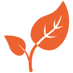 N2-Icon-5